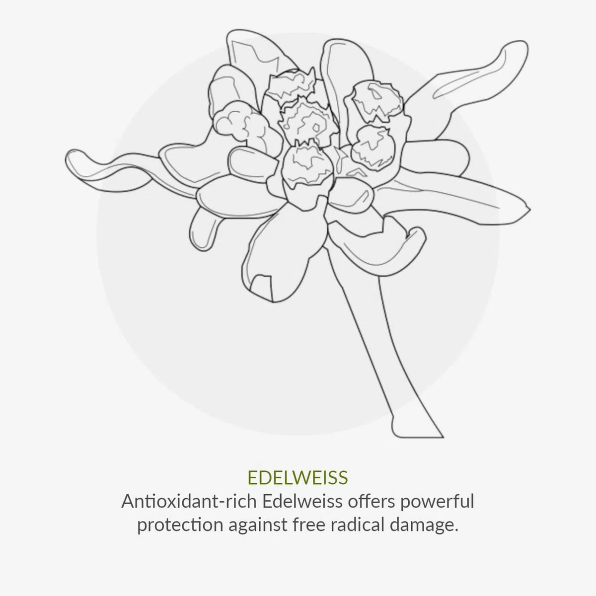 Green People Bio-Kinder Sonnencreme SPF30, 150ml | Ohne Duftstoffe, Natürliche Sonnencreme, Korallenfreundlich und tierversuchsfrei, Aloe Vera, Grüner Tee und Edelweiss, Vegan