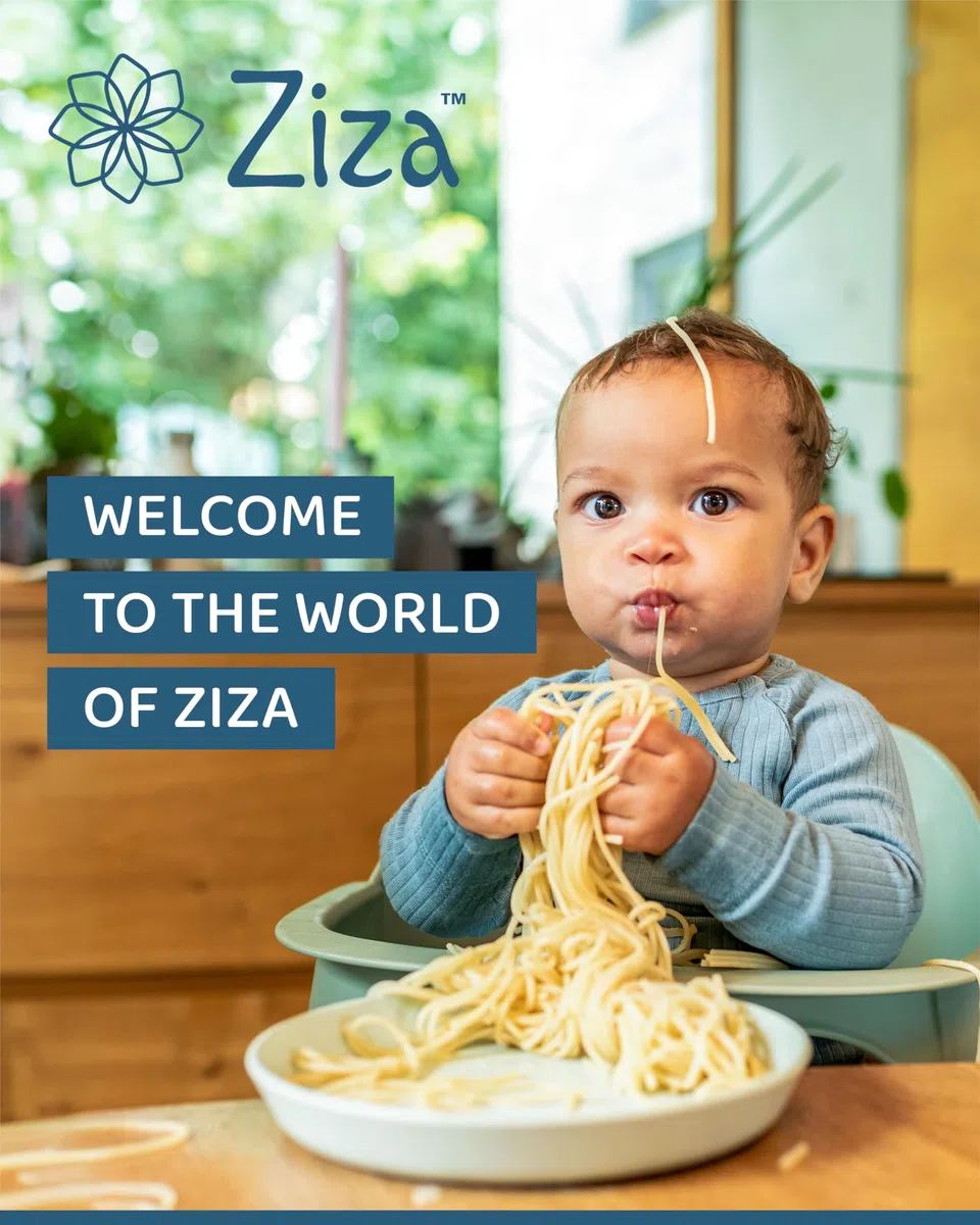 Ziza Newborn Neugeborenenaufsatz für Hochstuhl Beige - Speziell für den Ziza Hochstuhl zur Nutzung ab Geburt, 5-Punkt-Gurt für optimalen Halt, Aus Polyester