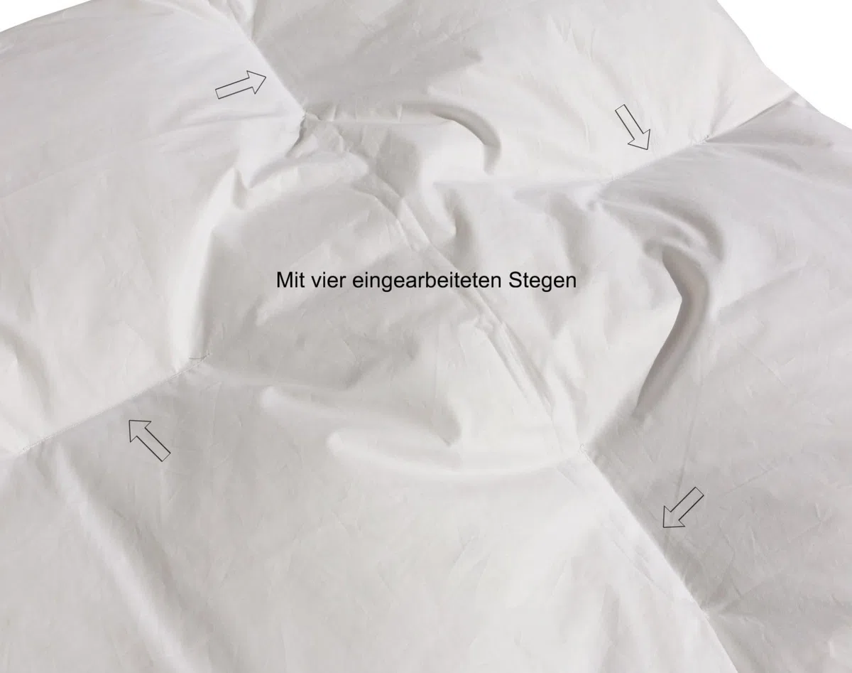 Betten Hofmann Franken Baby Ganzjahres Daunendecke 80x80 cm Steppbett 100% Daunen, leicht und flauschig, atmungsaktiv, waschbar, Naturprodukt
