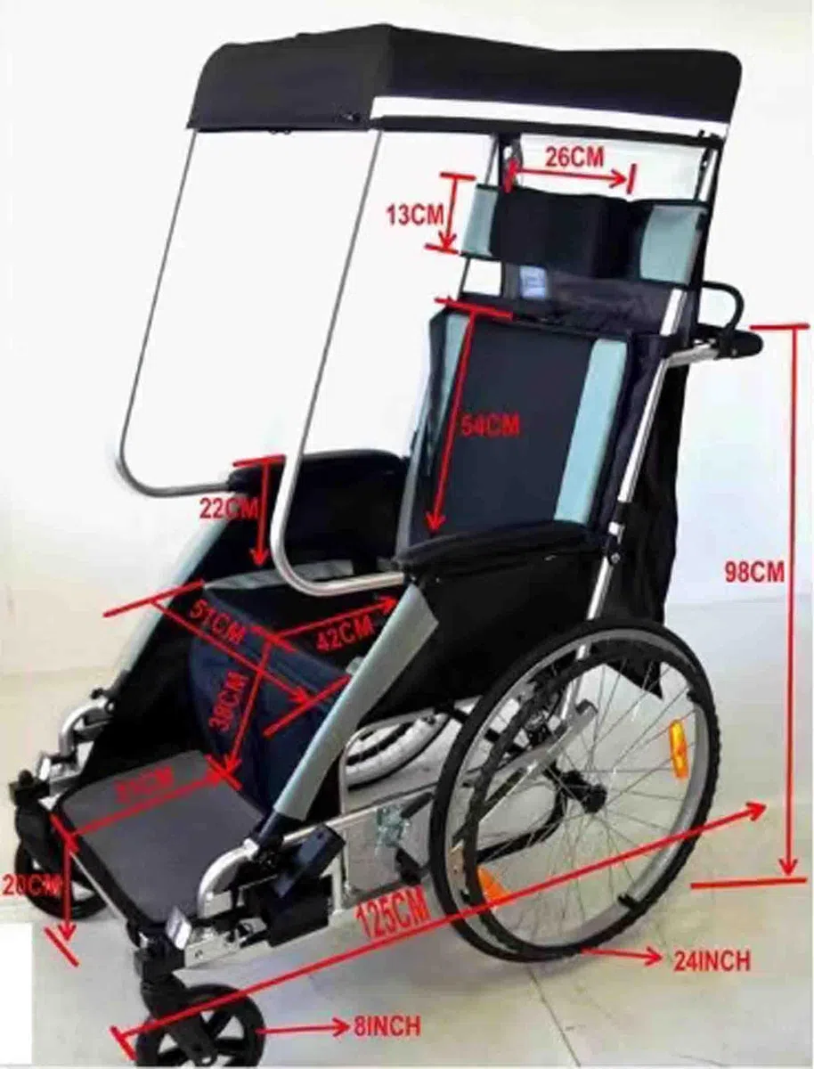 CAULO Fahrradanhänger für Erwachsene, Rollstuhl, Fahrrad, Aluminiumlegierung, hinterer Anhänger, Stoßdämpfung, komfortabler Traktor, multifunktionaler Wagen (Blue)