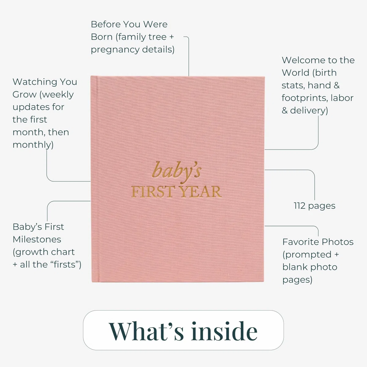 Baby Erinnerungsbuch & Fotoalbum von Duncan & Stone - Dusty Rose | Baby Geschenk für neue Mutter | Meilenstein-Sammelalbum für werdende Mutter | Erstes Jahr Tagebuch für Geburt