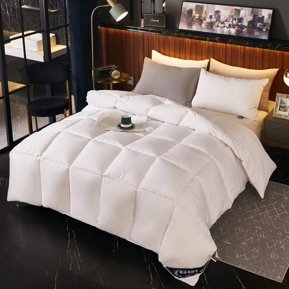 Winterbettdecke King Size Weiße Gänsedaunenbettdecke, Sommer Extra Leichte Dünne Gänsedaunenfeder Steppdecke mit Bezug aus 100% Baumwolle, 6 Schmusedecken (Weiß 200 * 230cm 4kg)