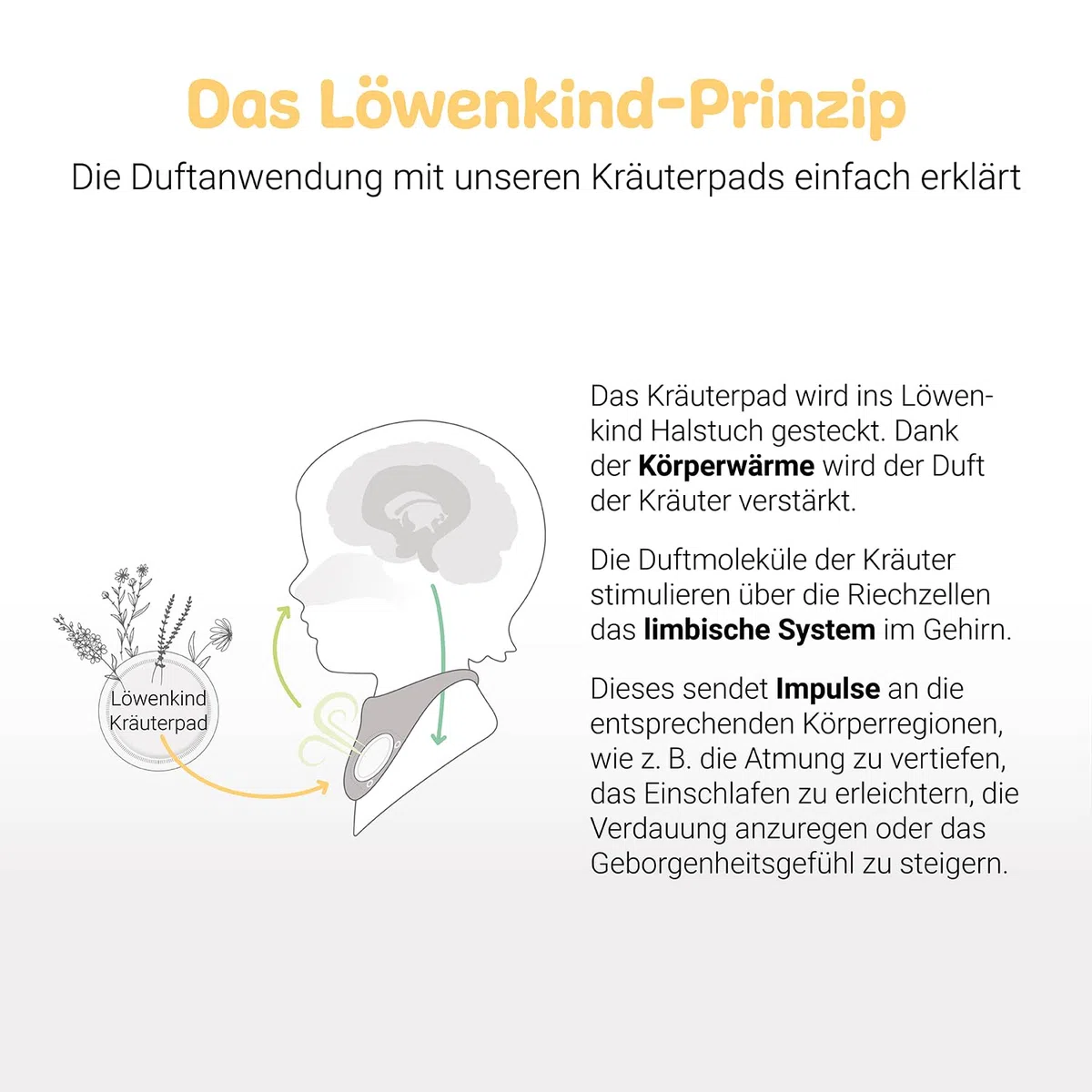 Löwenkind Einsteigerbox "Newborn" Grau mit Rotznäschen- und Gute-Nacht-Pads- Kräuterpads zur natürlichen Unterstützung in der Erkältungszeit und bei Schlafproblemen für Neugeborene bis 6 Monate