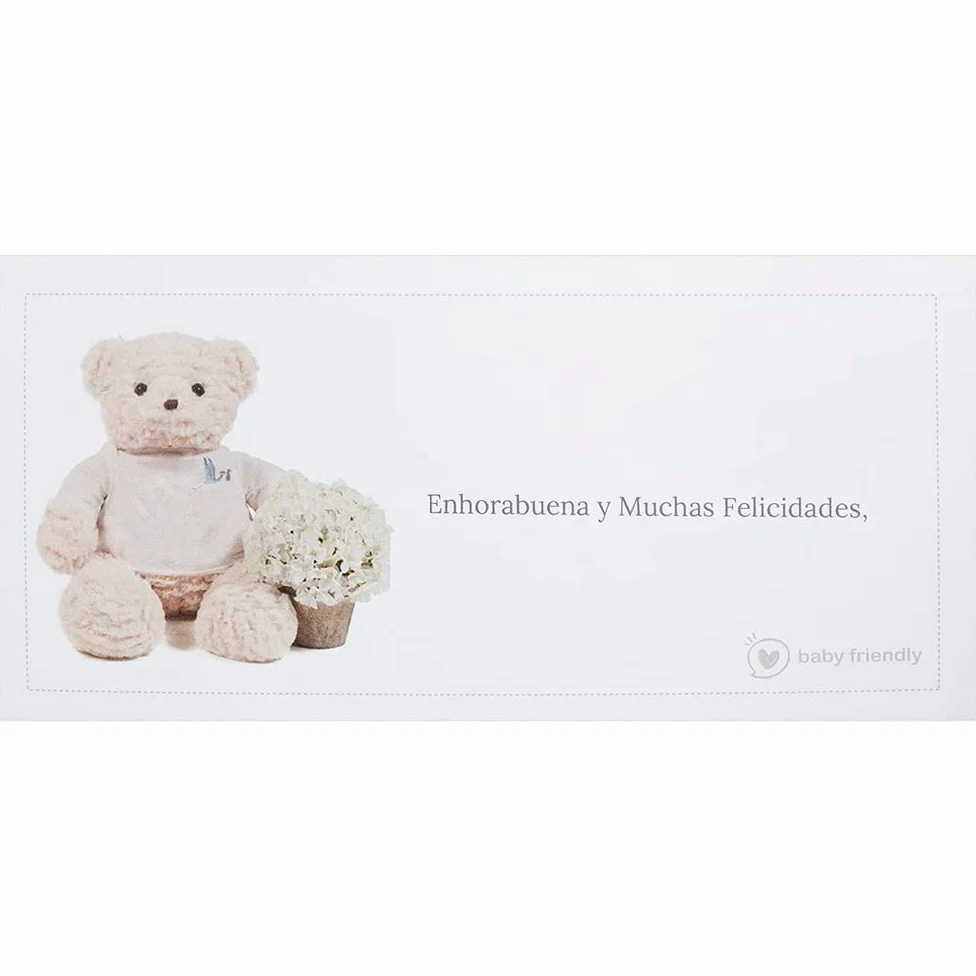 Herrliche Windeltorte, um zur Geburt eines Mädchens zu gratulieren. Der Teddybär kann mit dem Namen des Babys personalisiert werden | BebeDeParis