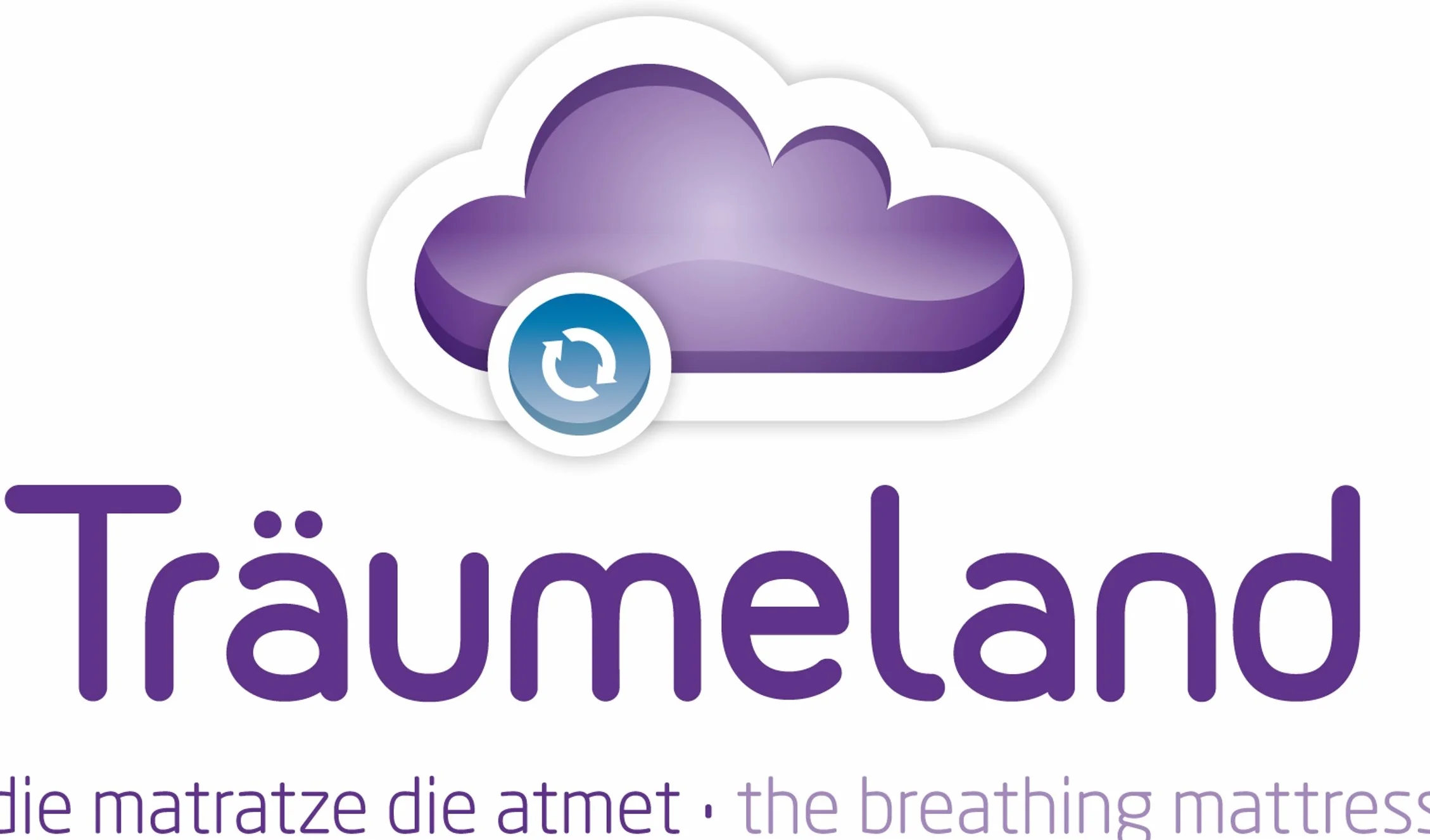 Träumeland T060173 Kissen Tau mit Tencel 40 x 60 cm