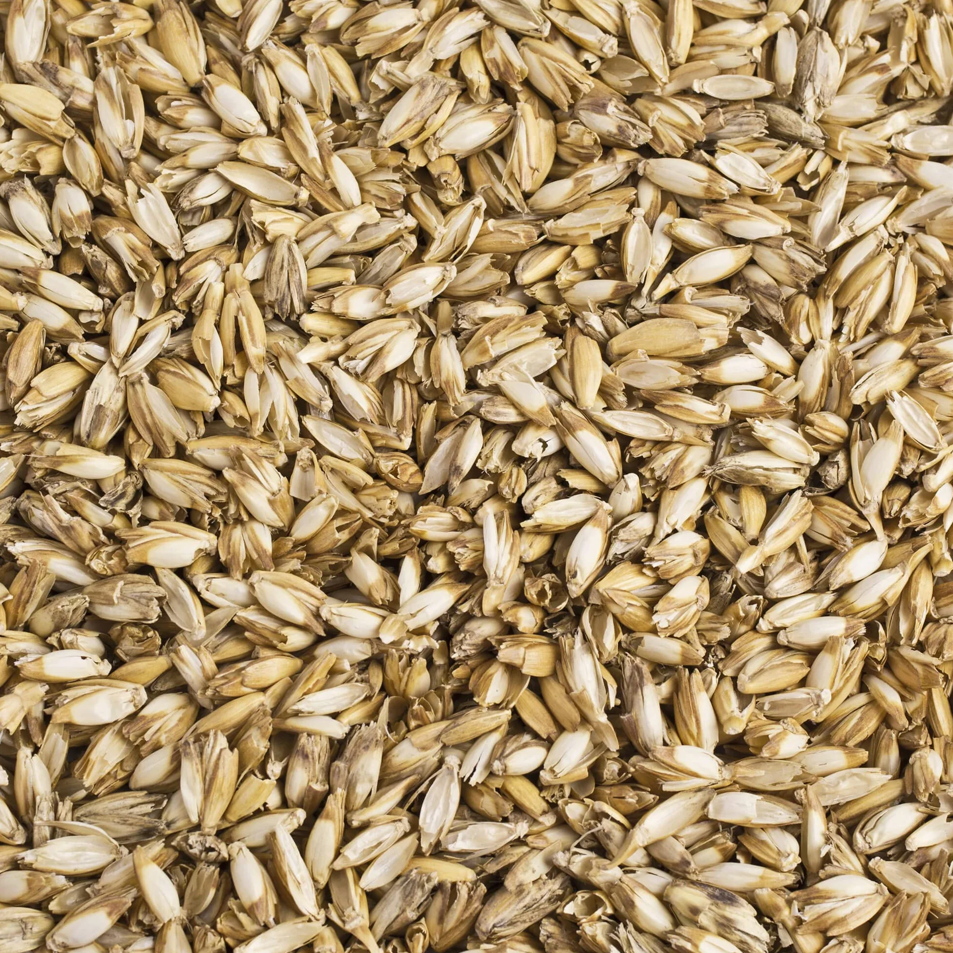 Theraline Stillkissen Das Original mit Dinkel Füllung - Farbe: 75 Punkte Beige