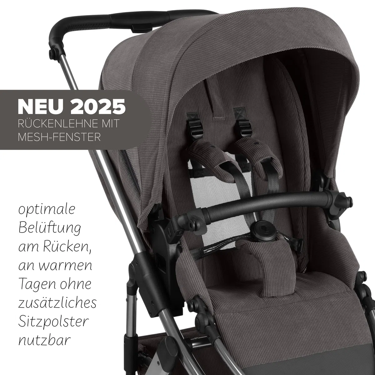 ABC Design Kinderwagen Salsa 5 Air Almond - 2in1 Kombi-Kinderwagen ab Geburt mit Luftreifen, Federung & großer Babywanne