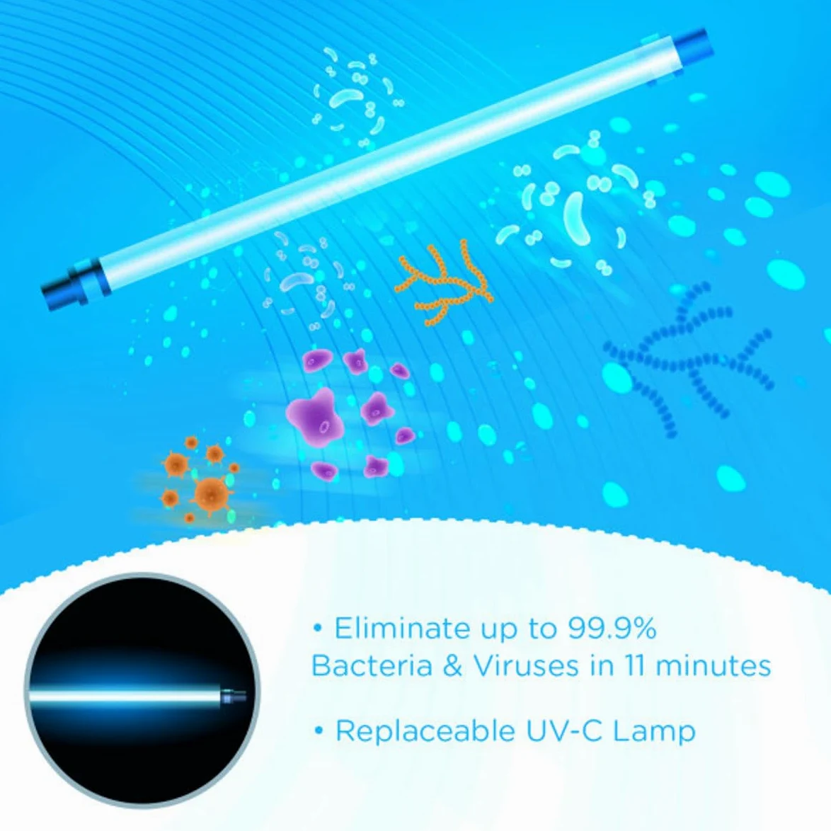 EVLA'S UV-Licht-Sterilisatorbox, Desinfektionsmittel, Trockner, Aufbewahrungsbox, große Kapazität für Babyflaschen, Schnuller, kleines Spielzeug, hilft Viren und Keime zu entfernen, für ein gesundes