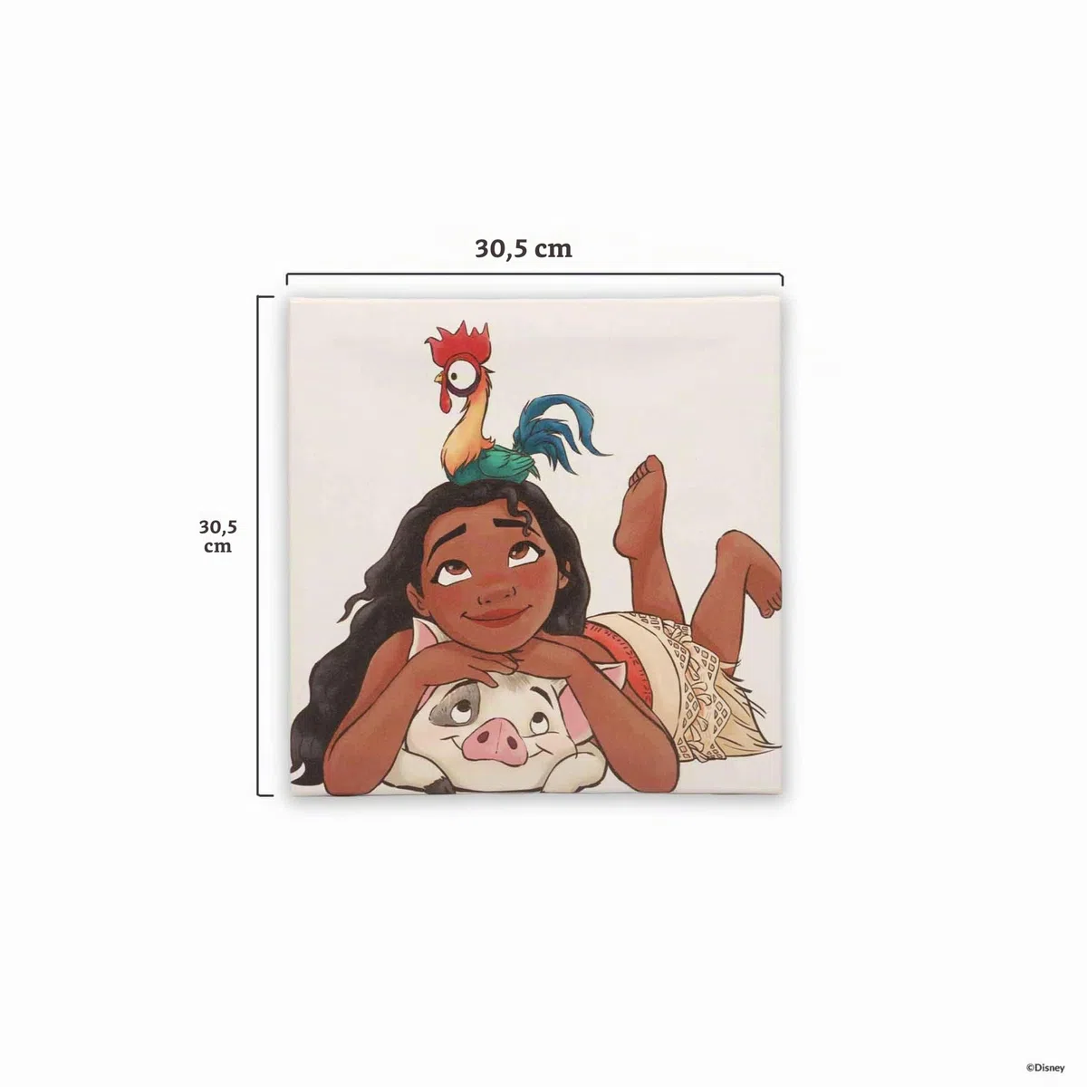 Open Road Brands Disney Moana, Pua und Hei Hei Galerie Leinwand-Wanddekoration, bezaubernde Moana-Wandkunst für Kinderzimmer oder Spielzimmer